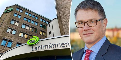Lantmännen vill tillbaka till lönsam tillväxt