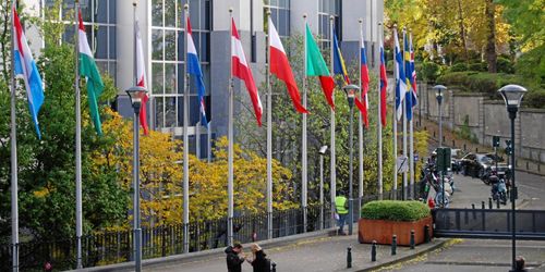 Skogsbruket dominerar i spretigt strategiförslag