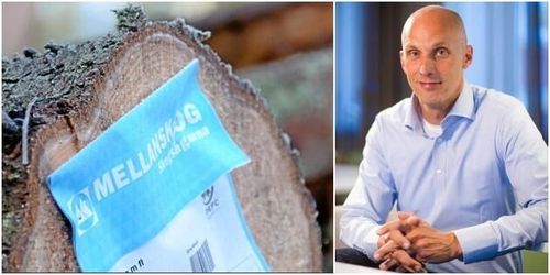 Mellanskog hämtar ny VD från Holmen