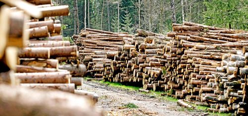 Kyrkan provar ny försäljningskanal