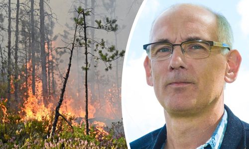 ”Satsa på entreprenörerna i brandbekämpningen”