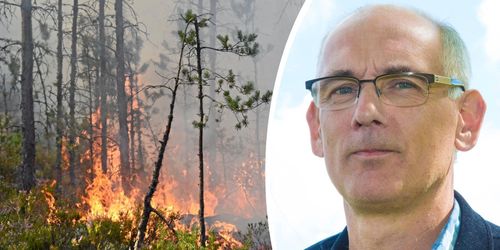 ”Satsa på entreprenörerna i brandbekämpningen”