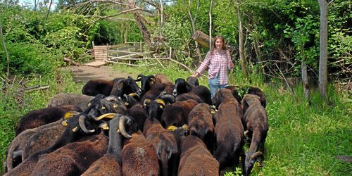 Populärt att bli bonde i Italien