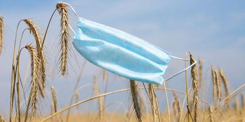 Anna Karin Hatt: LRF har hög beredskap i pandemin