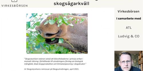 Säljläge för både timmer och fastigheter