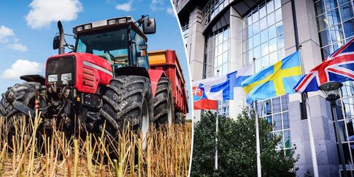 14 avgörande frågor – så tycker beslutsfattarna