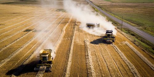 Bra säljläge för svensk veteskörd