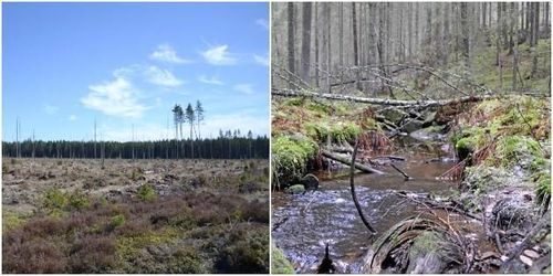 ”Beskrivningen stämmer inte med fakta”