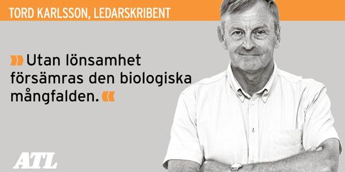 Nya möjligheter till bättre mångfaldspolitik