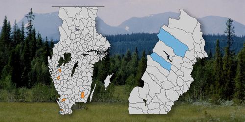 Grafik: Här finns mest skyddad natur i Sverige