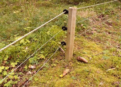 Nu stänger länsstyrelsen i Stockholm stängslingshjälpen men uppmanar djurhållare att fortsätta beta betesmark och skörda vinterfoder på vallarna.