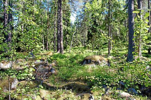 Bättre bonitering från skrivbordet