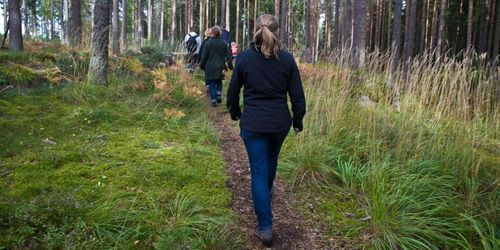 ”Allemansrätten behöver fastare ramar”