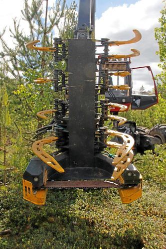 Aggregat öppnar för ny skogsmarknad