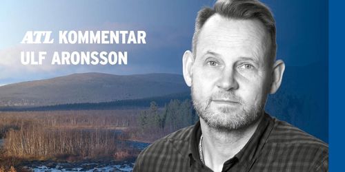 Fjällnäradomen kan påverka fastighetsmarknaden