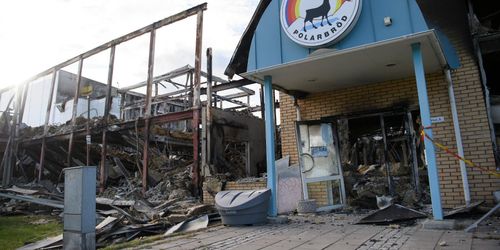 Polarbröd mångmiljonsatsar i Älvsbyn