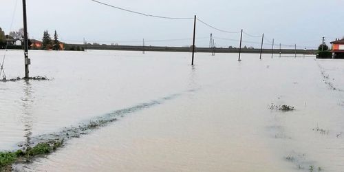 Regnkatastrof i Italien kostar lantbruket en miljard