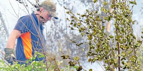 Här hoppas man på regn