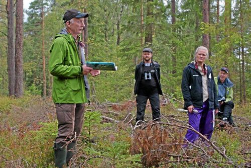 Rovdjur påverkar tjäderstam