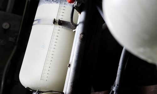 Arla köper brittisk eko