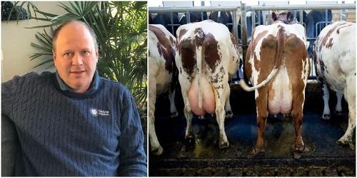 Torkan bidrog till ökad mjölkinvägning