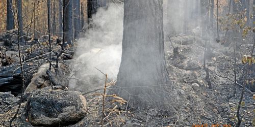 Alliansen föreslår krisfond