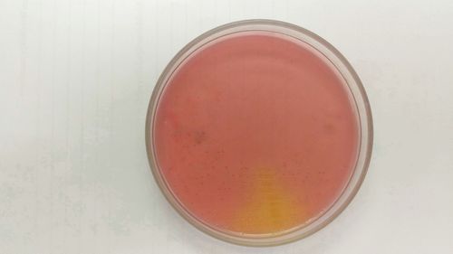 Två länder redovisar oroande resistens