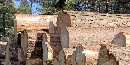 Mellanskog dubblerar vinsten