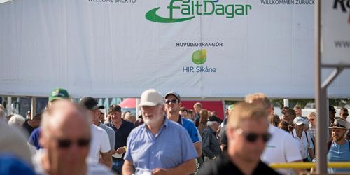 Borgeby ställer in i år