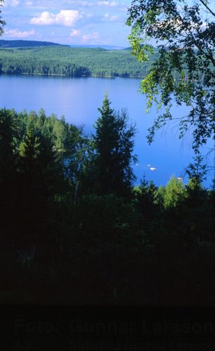 Europas sjöar påverkade av avlopp