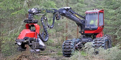 Prognos: Minskad avverkning 2020