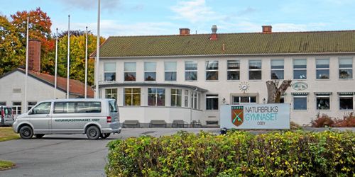 Fler vill plugga inom det gröna