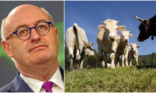 Hogan lovar miljarder i Mercosur-skydd