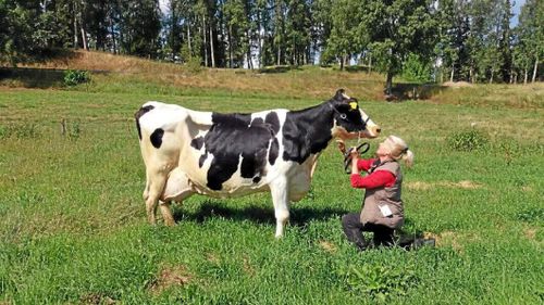 Hon är en riktig rekordkossa