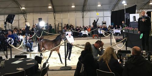 400 hästar under klubban