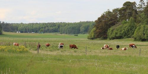 Väntan och återkrav väcker irritation hos bönder