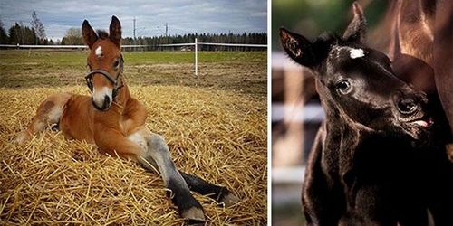 Nu avslöjar vi vinnarbilden!