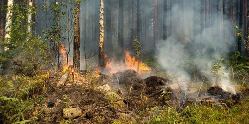 Hög brandrisk för årstiden
