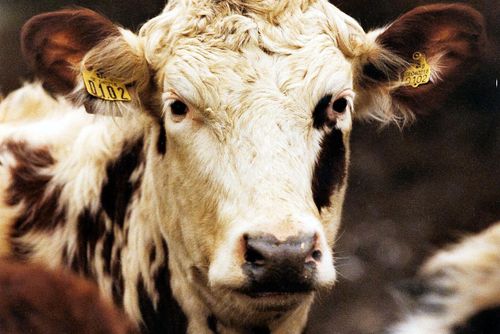 Många vill slippa lagkrav