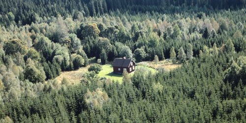 Mer distansägd skog