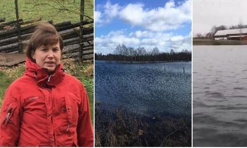 ”Lika mycket vatten på åkrarna som i ån”