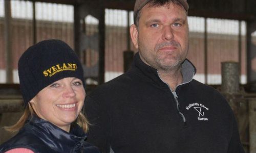 Gotländsk gård blev Årets Nötköttsföretag