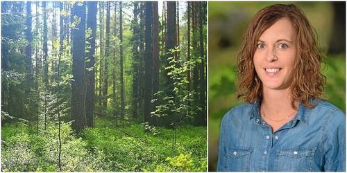 ”Fler yngre skogsägare skulle stärka näringen”