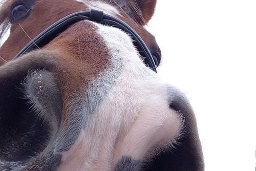 Kommun tvingas betala skadestånd