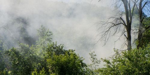 Varning för skogsbränder i stora delar av landet