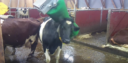 Kooooollosalt skönt