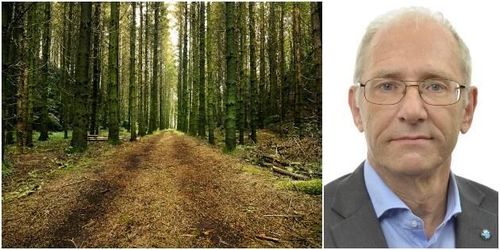 EU ska inte bestämma över svenska skogar