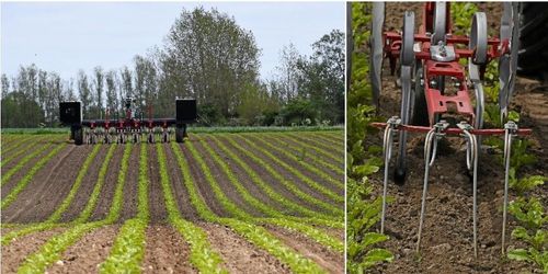 Här sköter roboten betfältet