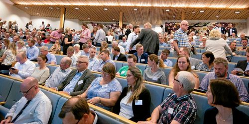 Kliv ner från de höga hästarna