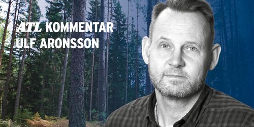 ”Ekonomisk vinst att låta skogen stå?”
